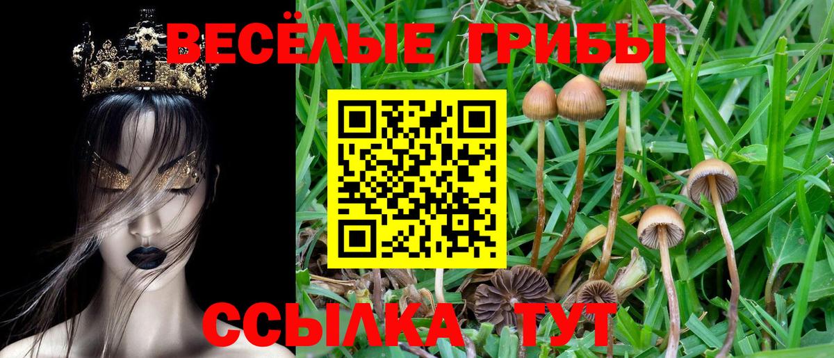 Псилоцибиновые грибы мухоморы  закладки  Нижневартовск  Вход с VPN 